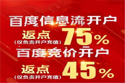 案例解析：揭秘高效竞价推广技巧